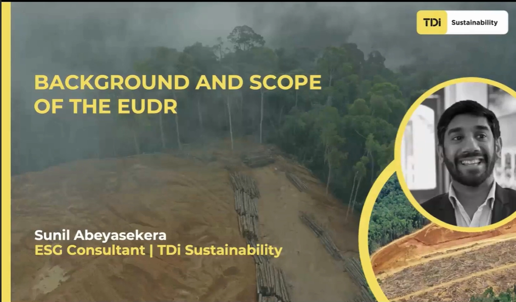 Webinar